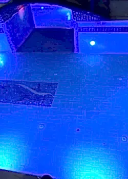 Kuşadasi Ali Bey Havuz LED Lamba  Yenileme Uygulaması