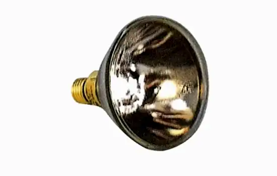 Philips Pars38 120W/24V Ampül